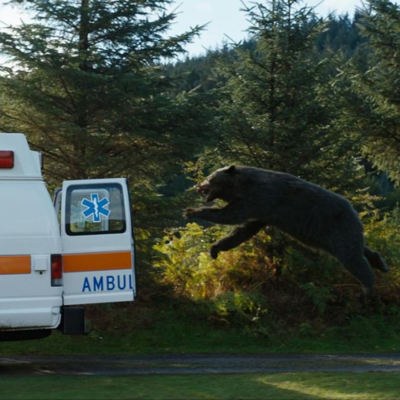 日本「熊害」事件破紀錄！三大連鎖超商出招，專家分享遊日防熊5訣竅