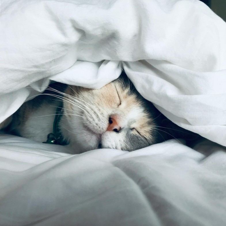 2026年「大年初三」5禁忌！千萬別拜年，睡到飽原因公開