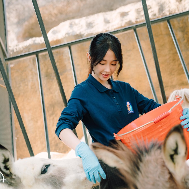 《動物園》線上看15亮點：王柏傑痛別紅毛猩猩，柯淑勤接生惹哭全網