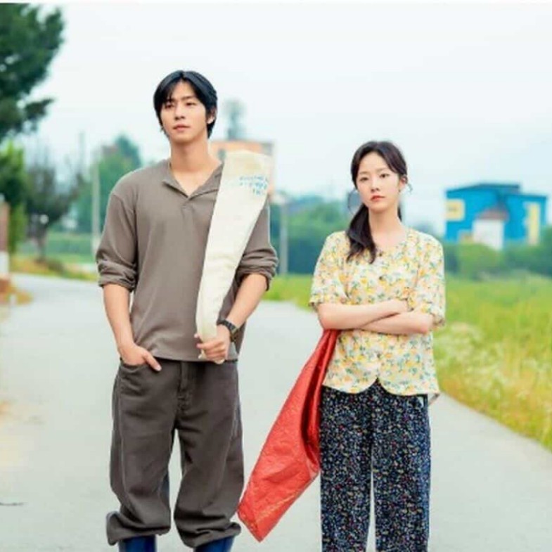 Netflix《秒殺愛情》線上看、分集劇情解析，大結局真相揭曉！