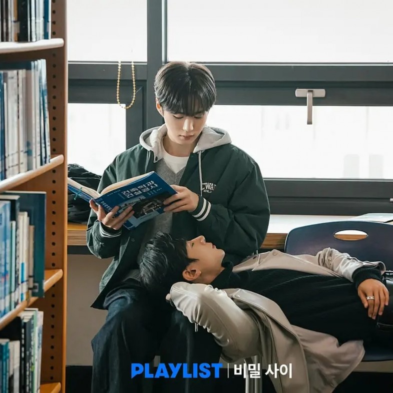 雙男主陸韓劇8部必追！線上看《秘密關係》《球童戰術》焦點互動