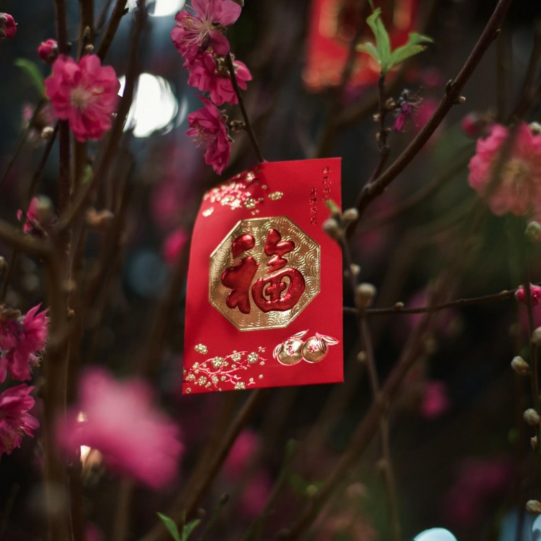 2026立春8大注意事項！4生肖運勢下降，躲春、紅豆開運秘訣公開