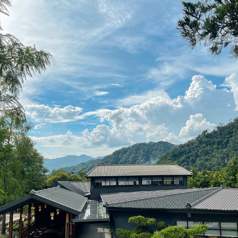 南投新景點！春水堂打造全台最美森林餐廳「春秋山林」