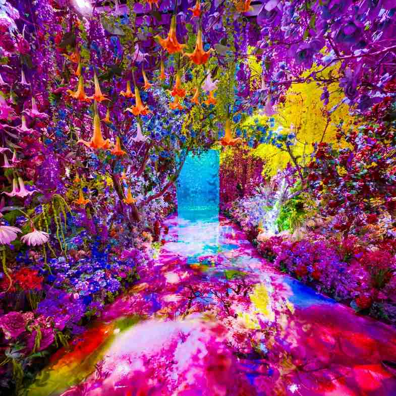 2026必看展覽！蜷川實花最大規模《彼岸之光》：票價、地點一次看