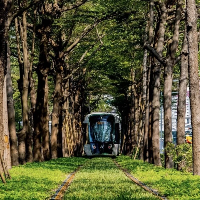 高雄捷運「紫線」登場！串連左營高鐵、義大醫院，23個上車地點