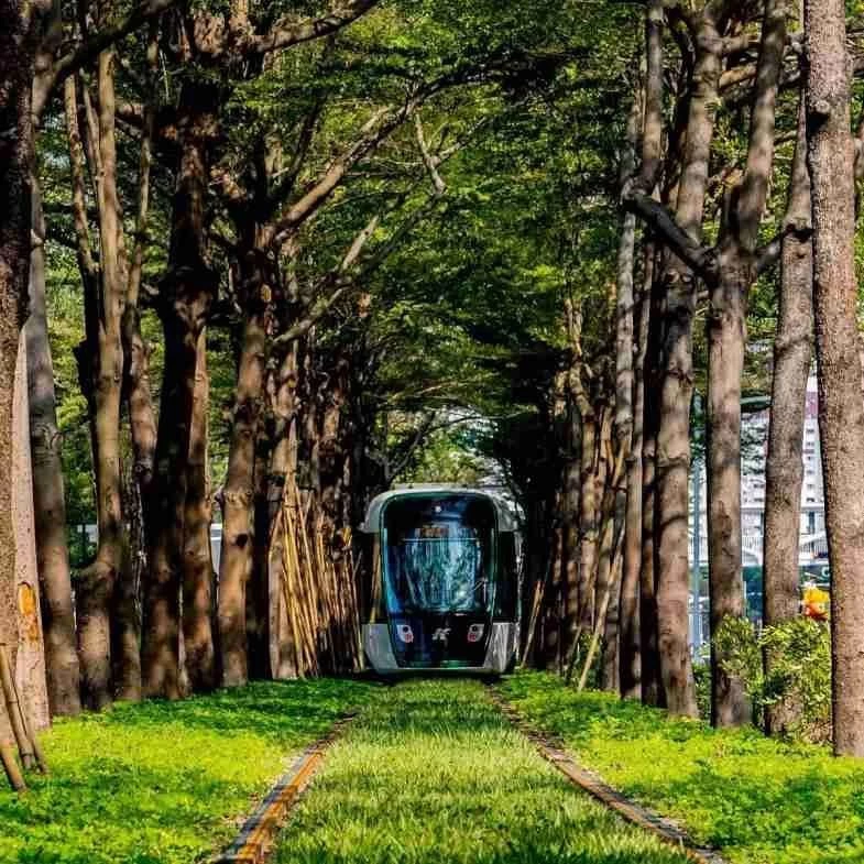 高雄捷運「黃線」2032年通車！串連Lalaport鳳山、澄清湖體育園區