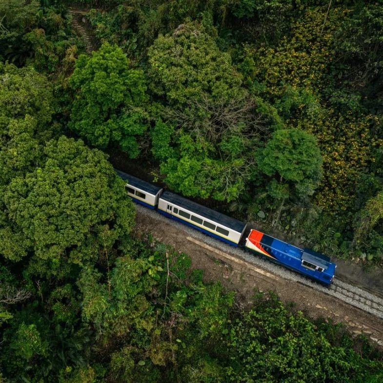 迎接2026曙光！阿里山跨年車票開賣，全新升級列車「森里號」登場